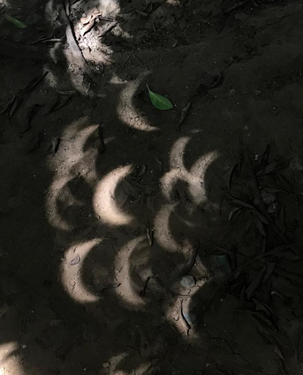 “夏至日”迎“日環(huán)食”(圖5) “夏至日”迎“日環(huán)食”(圖5)