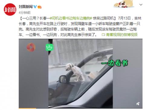一心三用？司機(jī)邊看書(shū)邊駕車邊擼狗驚呆過(guò)路司機(jī)