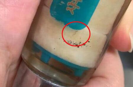 韓國多地自來水現(xiàn)幼蟲樣生物 究竟是怎么回事(圖2) 韓國多地自來水現(xiàn)幼蟲樣生物 究竟是怎么回事(圖2)