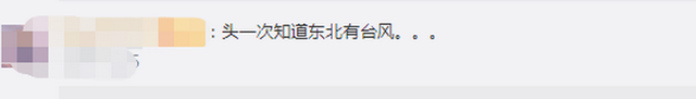 臺風“美莎克”致吉林玉米大面積倒伏，像棉被一樣鋪在地上，減產(chǎn)已成定局(圖2)