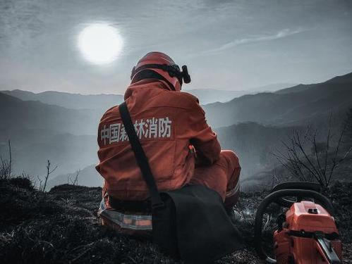 森林消防員的“法寶”你了解多少？(圖1)