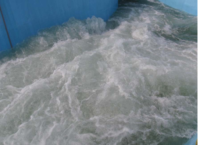 水域救援:水域救援的基礎(chǔ)知識(圖13) 水域救援:水域救援的基礎(chǔ)知識(圖13)